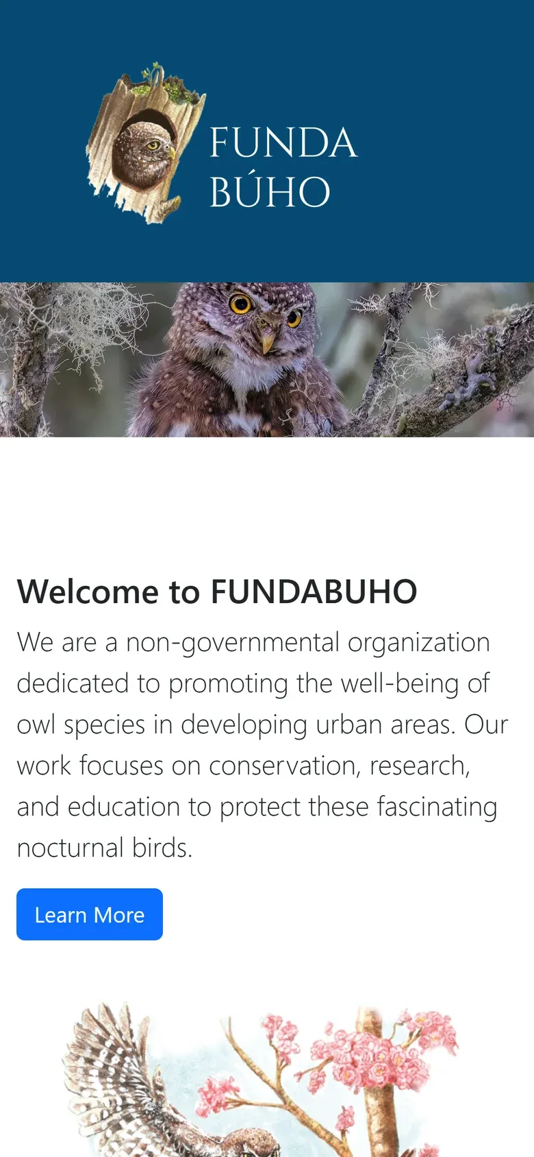 FundaBúho en móvil